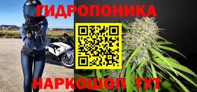 прущие крисы Краснокаменск